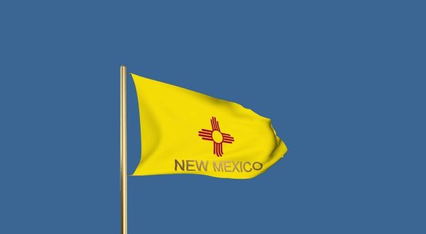 new mexico cle requirements