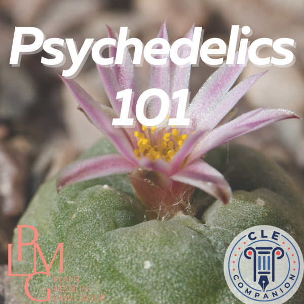 Psychedelics 101 Cover Art